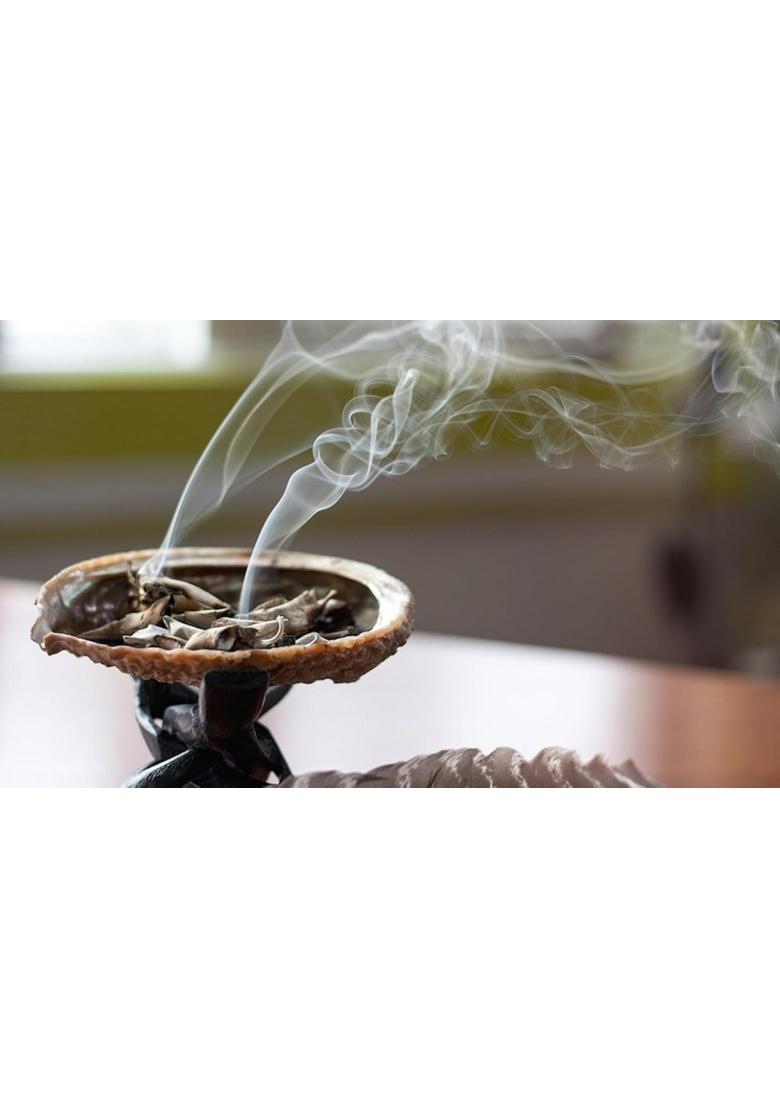 Vedica Indian White Sage Dried Leaves for Home Cleansing 200 GMS Herbs | no Charcoal Used Removing Negativity, Improves Sleep, Calms Stress, Incense Sticks, agarbatti smudging Healing