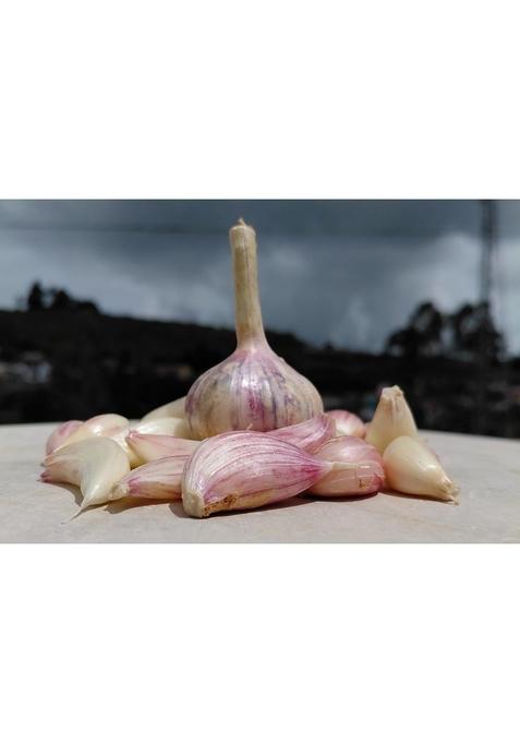 NILGIRI GREENS AND SPICES Ooty/Nilgiri Garlic cloves with flakes(500 gms) lehsun