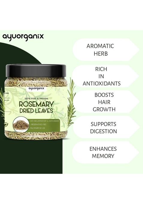 AYUORGANIX Dry Rosemary Leaves 150g | 100% Pure & Natural Sun-Dried Aromatic Herb in Food-Grade Jar For Cooking, Tea Hair Care No Preservatives