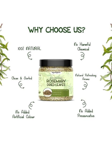 AYUORGANIX Dry Rosemary Leaves 150g | 100% Pure & Natural Sun-Dried Aromatic Herb in Food-Grade Jar For Cooking, Tea Hair Care No Preservatives