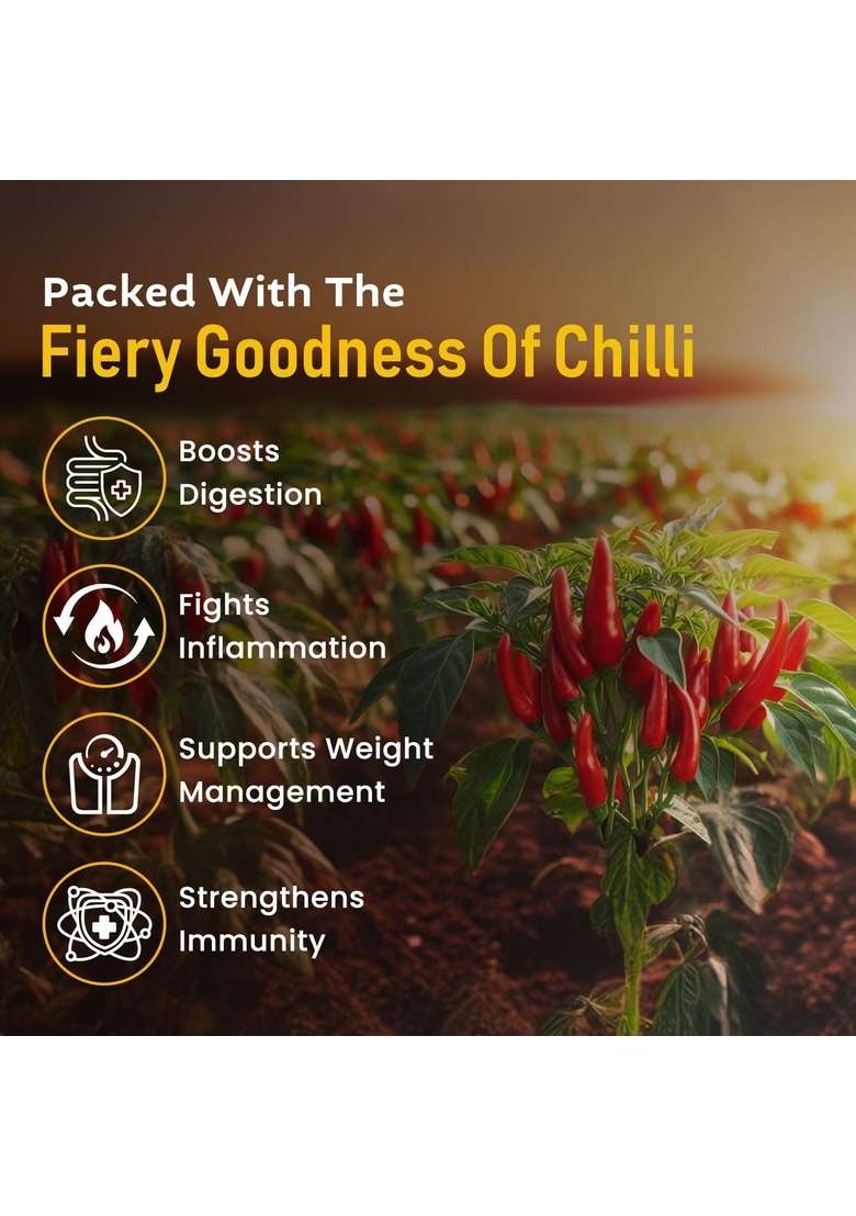 Swastik Laal kadak Chilli Powder | Rich In Flavour No Added Colours Natural And Authentic (500 Gram) - Indya