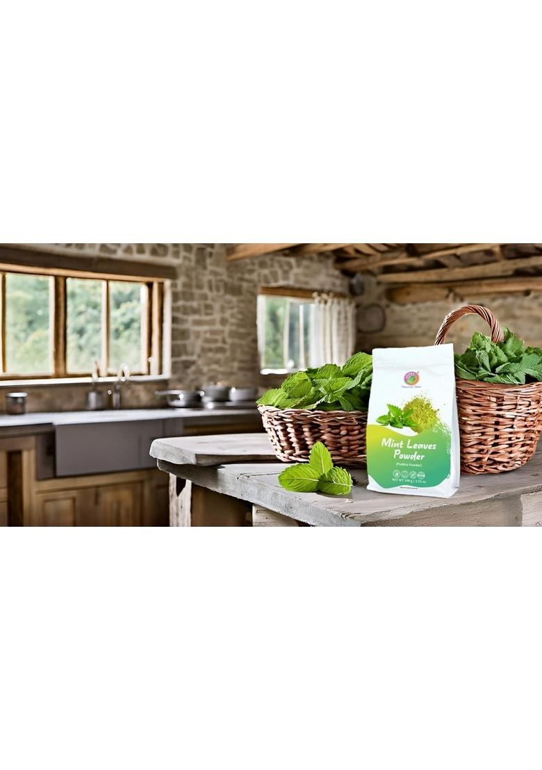 SAIPRO Nature our Future Mint Leaves Powder 100 gm, Natural Dry Pudina For beverages, mocktail, vegetables, fruit salads, grain salads | No Artificial Flavours, Colours, Mentha Powder| Leaf Powder, All Purpose Seasoning, Vegan, Gluten Free