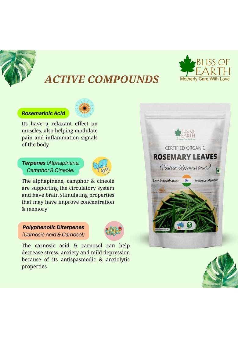 BLISS OF EARTH Dried Rosemary Leaves Certified Organic Rosmarinus Officinalis Great for Tea, Cooking, Hair & Memory 50GM - Indya