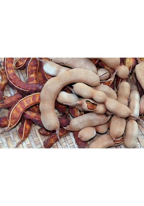 LJL Traders Seedless Dried Tamarind Whole/Imli / Product of Kerala/Imli Guda