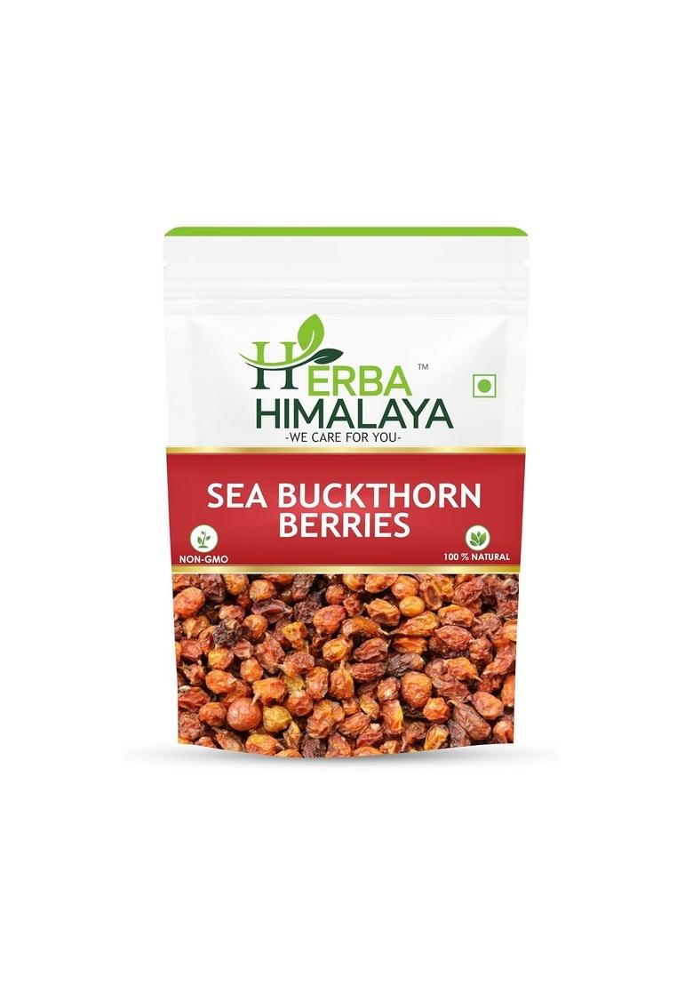 Herba Himalaya Dry Sea Buckthorn Berries