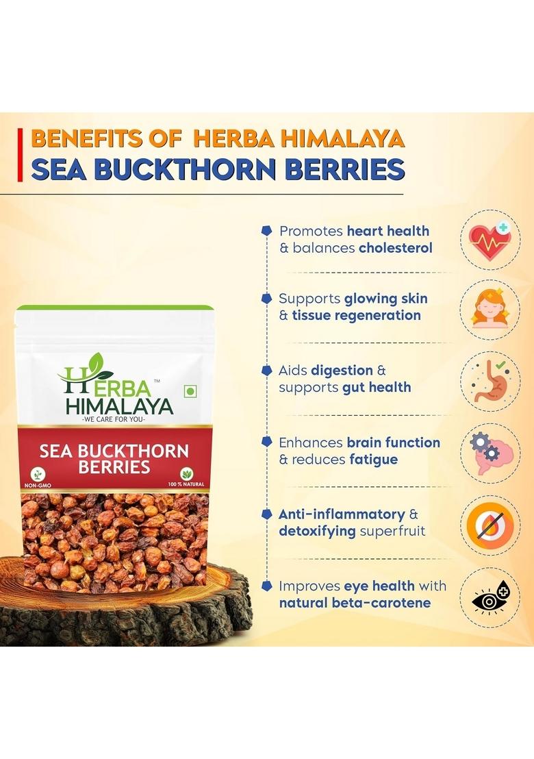 Herba Himalaya Dry Sea Buckthorn Berries