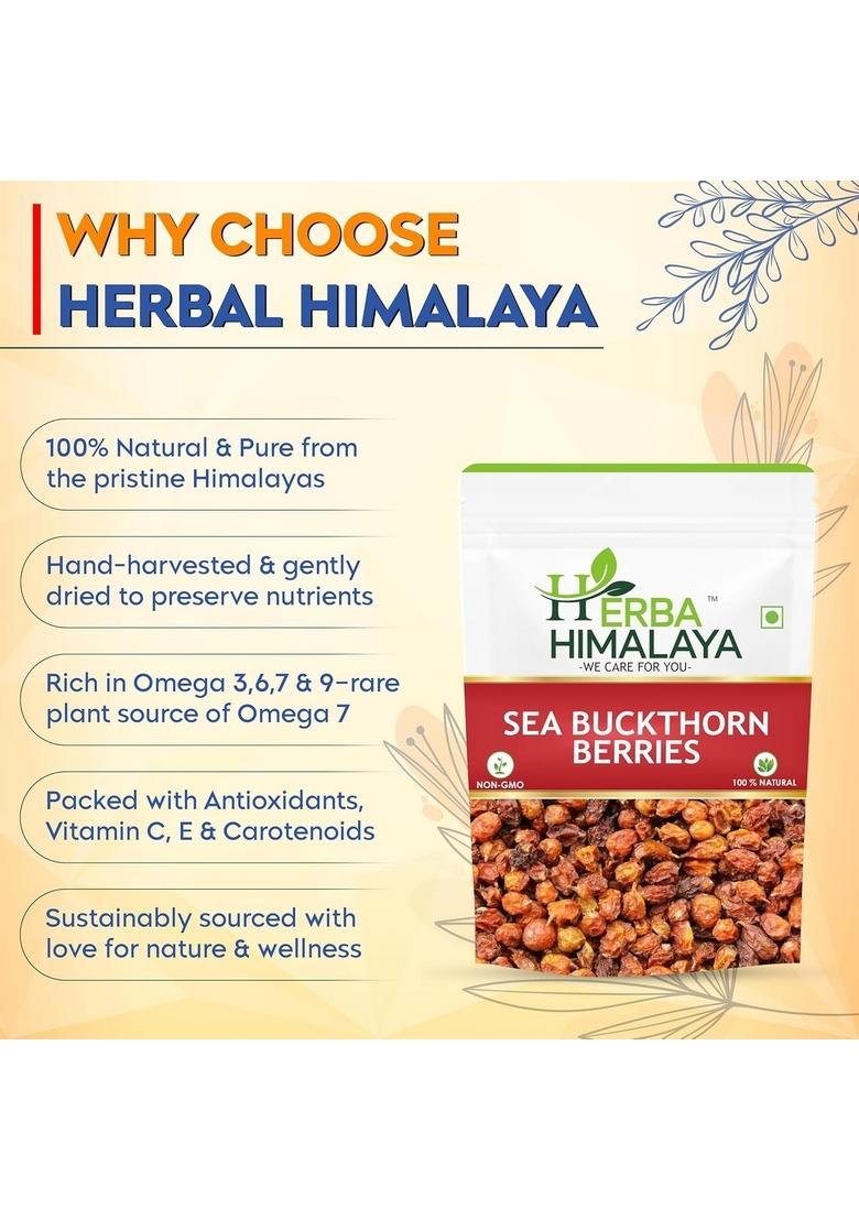 Herba Himalaya Dry Sea Buckthorn Berries