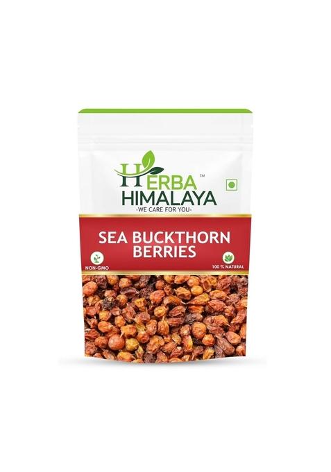 Herba Himalaya Dry Sea Buckthorn Berries