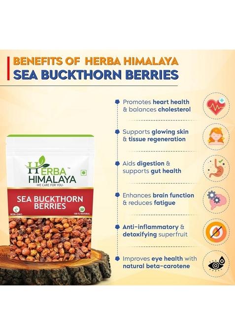 Herba Himalaya Dry Sea Buckthorn Berries