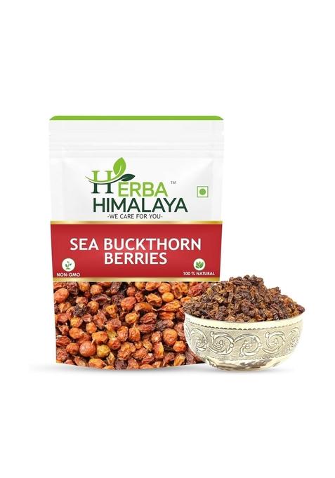 Herba Himalaya Dry Sea Buckthorn Berries