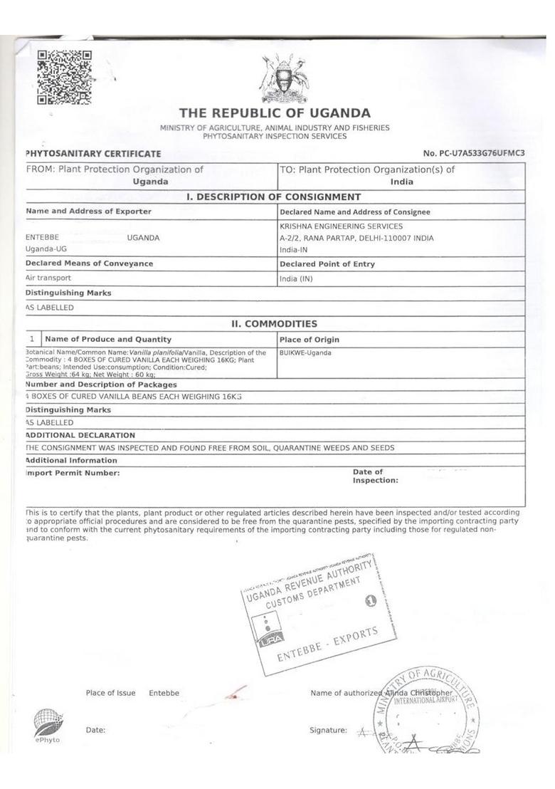 Natural or Nothing Vanilla Beans From Uganda|40 Grams(8-10 Beans)|Super Premium Grade A+(15+ Cm)Pods|Sticks|For Baking,Extract,Cooking,Ice Cream,Coffee Brewing