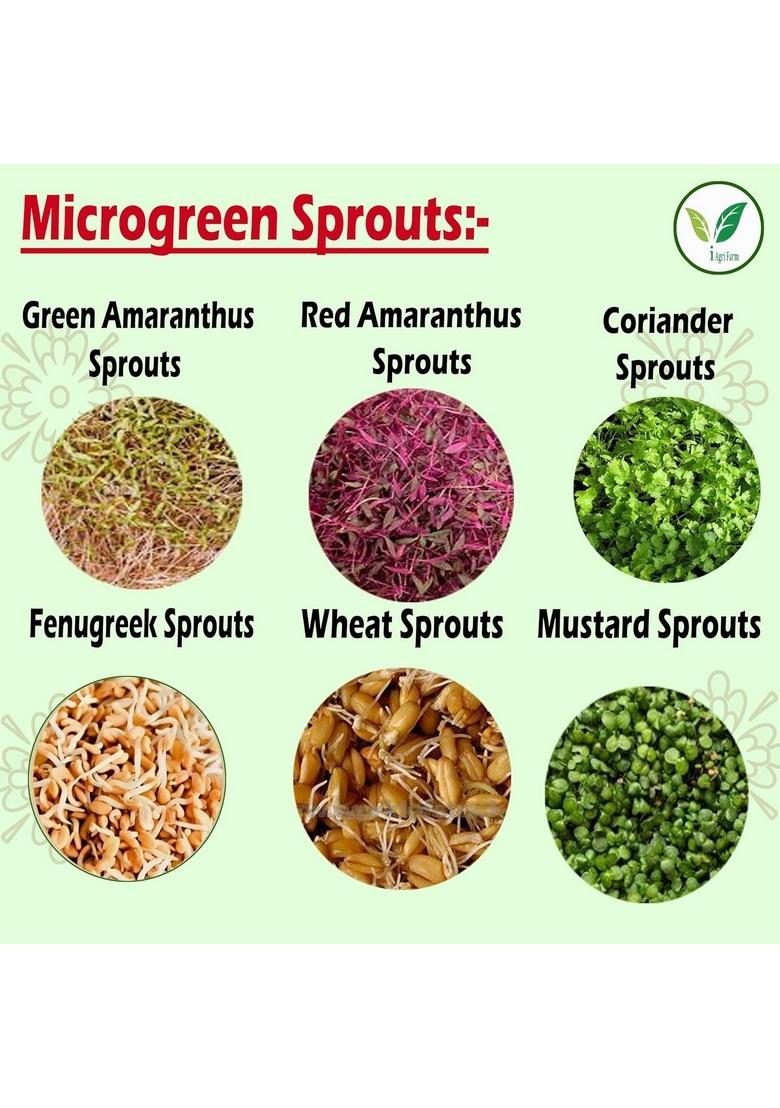 IAgriFarm Microgreens Sprouting Seeds/Amaranthus Seeds (Red & Green), Coriander,Fenugreek Methi, Wheat Grass, Mustard /100g*6, Untreated Seed,Easy Grow