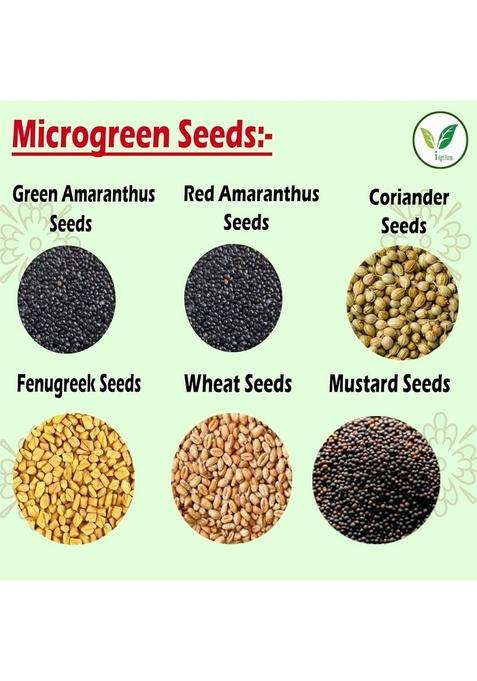 IAgriFarm Microgreens Sprouting Seeds/Amaranthus Seeds (Red & Green), Coriander,Fenugreek Methi, Wheat Grass, Mustard /100g*6, Untreated Seed,Easy Grow