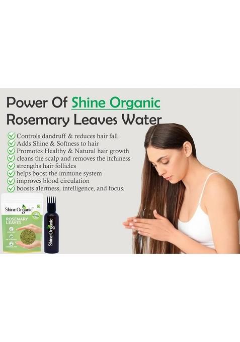 Shine Organic Rosemary Dried Leaf/Leaves with Applicator