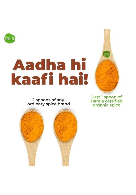 JUST GOOD FOOD CO Harela Certified Organic Chaat Masala Powder with Natural Oils | No Additives or Harmful Chemicals Cold-Pressed & Steam Sterilised Aromatic Flavourful (Pack-3)