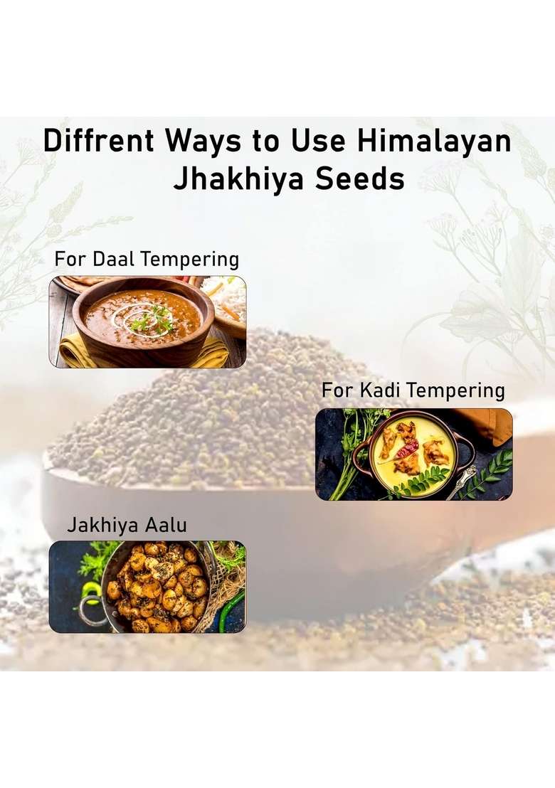 Hillpure Organic Grown by mother nature Himalayan Jhakhiya Seeds | Super Food of Uttarakhand |100% Pure & Natural Cleome viscosa Wild Mustard (175 GM) - Indya