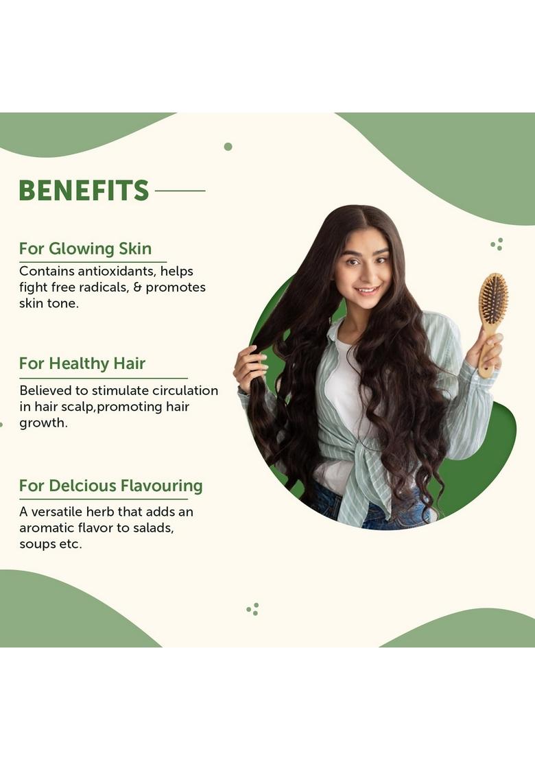 Neuherbs Rosemary Dried Leaves 50g (Pack of 1) | Rich in Antioxidants for Skin & Hair 100% Natural, No Additives Ideal Growth, Seasoning Food, Herbal Tea