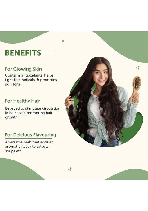 Neuherbs Rosemary Dried Leaves 50g (Pack of 1) | Rich in Antioxidants for Skin & Hair 100% Natural, No Additives Ideal Growth, Seasoning Food, Herbal Tea