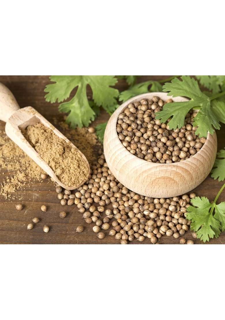 NNorganic Coriander Seeds Whole (Sabut Dhaniya) - 500g - Indya