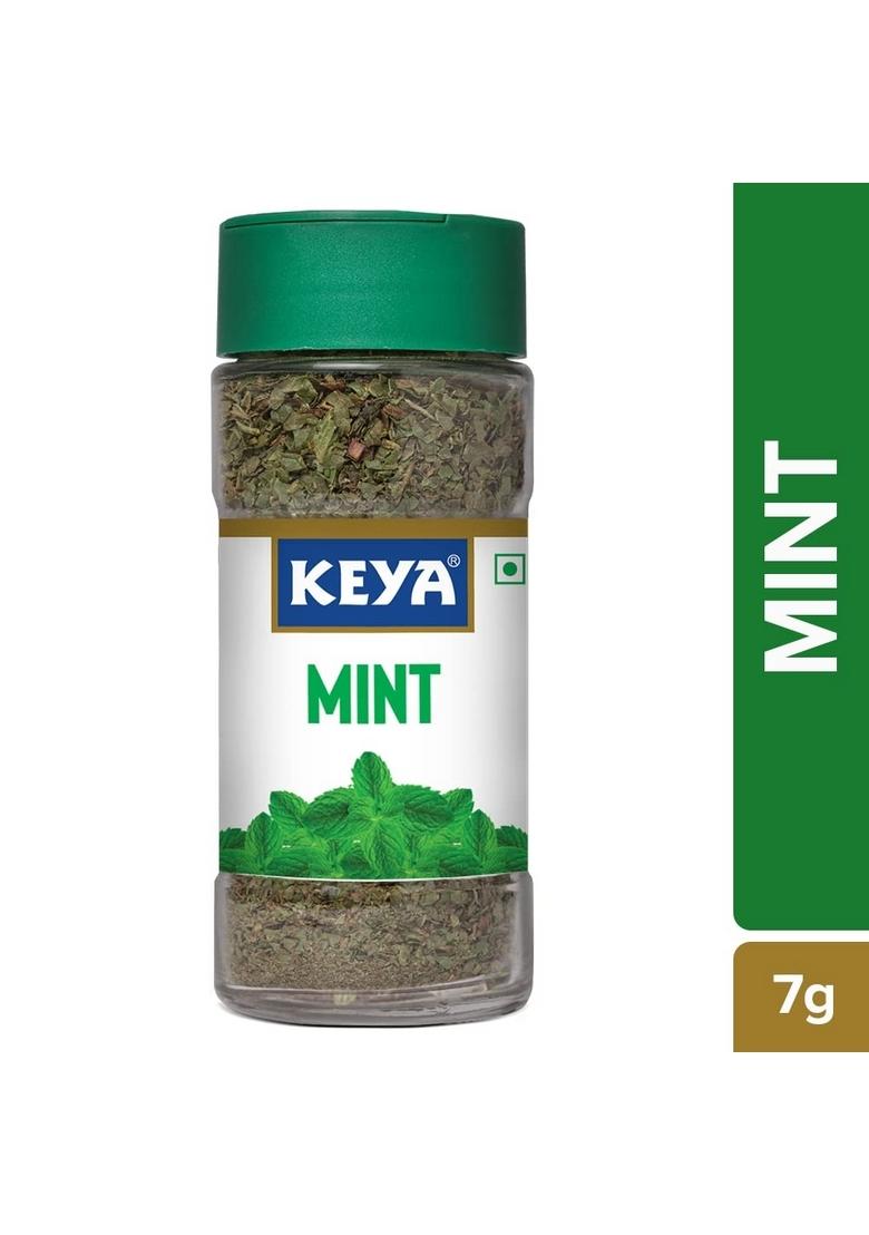 KEYA Mint | Seasoning for Meats, Soups, Sauces, Vegetables, and Beverages Rich in Antioxidants & Supports Digestion No Artificial Flavours or Colours 7g Pack 3