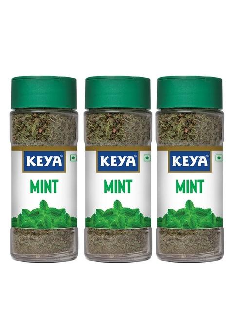 KEYA Mint | Seasoning for Meats, Soups, Sauces, Vegetables, and Beverages Rich in Antioxidants & Supports Digestion No Artificial Flavours or Colours 7g Pack 3