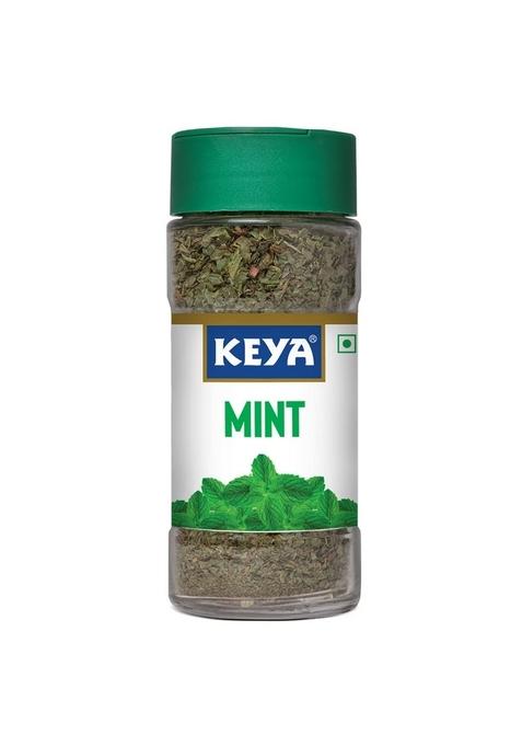KEYA Mint | Seasoning for Meats, Soups, Sauces, Vegetables, and Beverages Rich in Antioxidants & Supports Digestion No Artificial Flavours or Colours 7g Pack 3