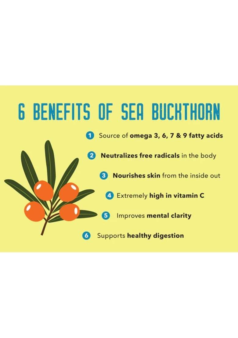Shine Organic Sea Buckthorn Berry Powder 50g Natural Superfruit Rich in Omega 3 6 7 9 Collagen Fiber Vitamin C E Perfect for Smoothies Juices Wellness Recipes - Indya