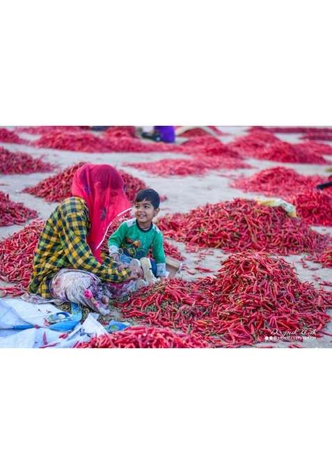 Buy Women PURE PIK Organically Cultivated Mathania Red Chilli Whole ...