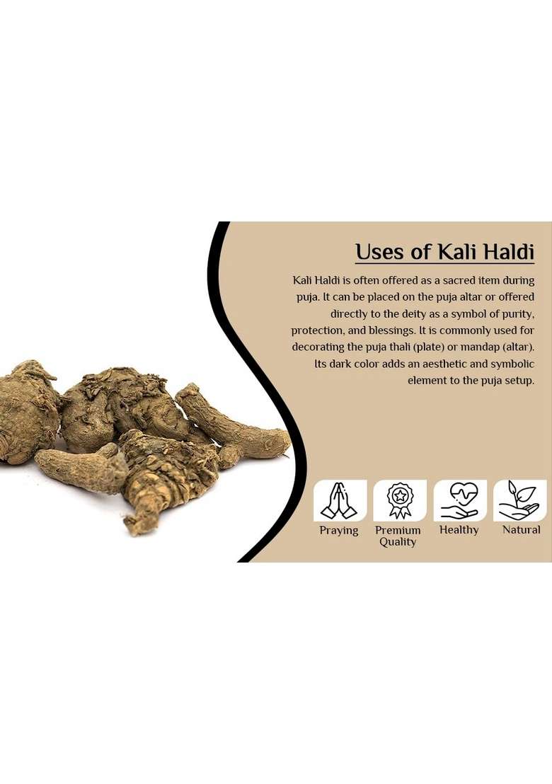 Namo Organics - Kali Haldi Original 150gm Dried Black Turmeric | Narkachur or Narkachoor Raw and Natural - Indya
