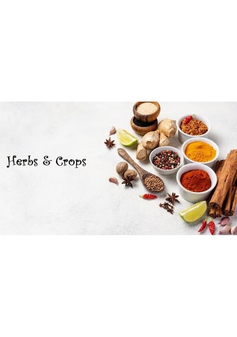 Herbs & Corps Premium Saunf(Fennel) Seeds,1Kg