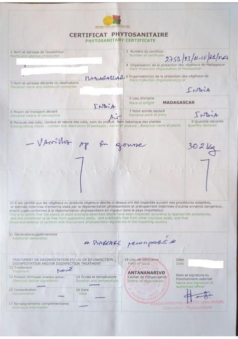 Natural or Nothing Gourmet Vanilla Beans from Madagascar | 250 Grams (100-120 Small Beans) Super Premium Grade A (12-14 cm) Pods Sticks For Baking, Extract, Cooking, Ice Cream, Coffee Brewing