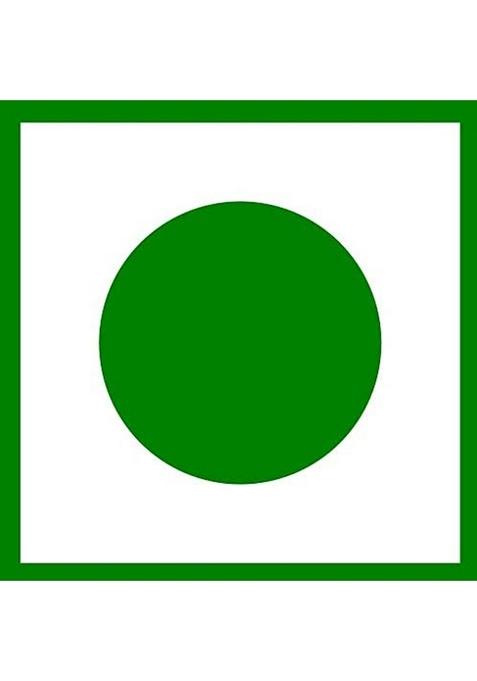 Delicious Biryani Phool | 100% Natural Perfect For Flavoring And Other Rice Dishes 50G X Pack Of 2