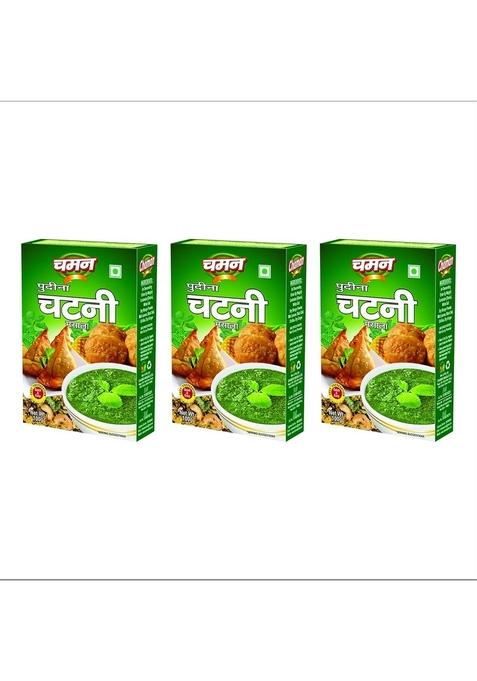 Chaman Pudina Chutney Masala Mix, 100 gm (Pack of 3)