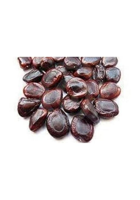 MERLI HERBS Tamarind Seeds/Imli Beej/Bhuni Imli Seeds, Pack of 100