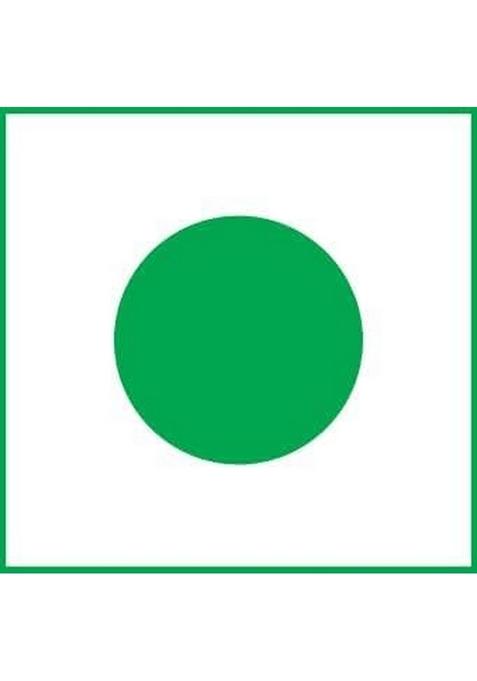 HERIT INDICA Garlic Salt | Seasoning Blend with Natural & Rock Ideal for variety of dishes like salads, soups and vegetables (50 g)