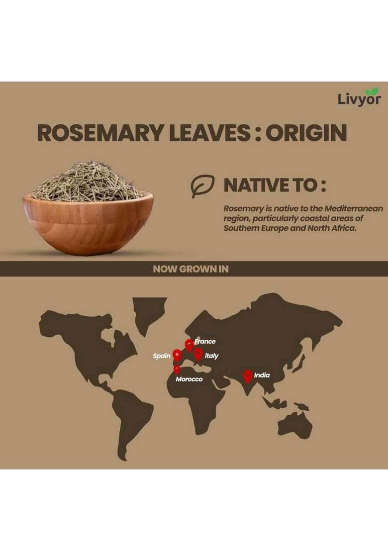 LIVYOR Dried Rosemary Leaves for Hair growth - 200 gm | 100% Natural Preservative Free and Color Pack of 1 - Indya