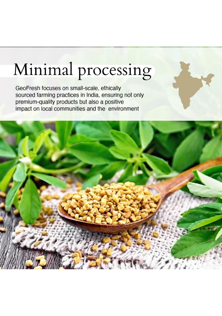 Geo-Fresh Organic Fenugreek Powder, 65g| Methi Powder|Rich in Anti-oxidants & Vitamins| For Healthy Hair Skin| 100% Organic, Non-GMO, USDA Certified, Jaivik Bharat Certified