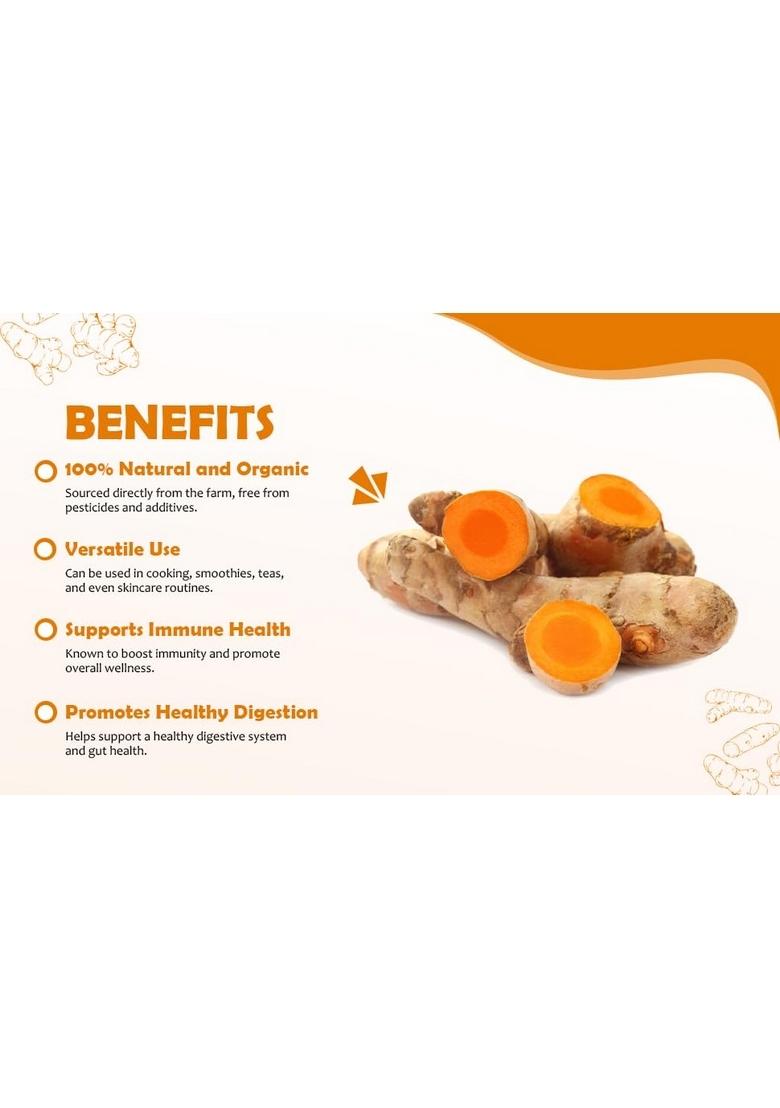 PARSHUTARA Fresh Raw Turmeric Roots (Kacchi Haldi) 100% Chemical-Free, High Curcumin, & Handcrafted Ideal for Cooking, Herbal Teas, Skincare Traditional Ceremonies Natural Immunity Booster Ayurvedic Herb 350g with FREE chemicals Haldi Powder 50GM