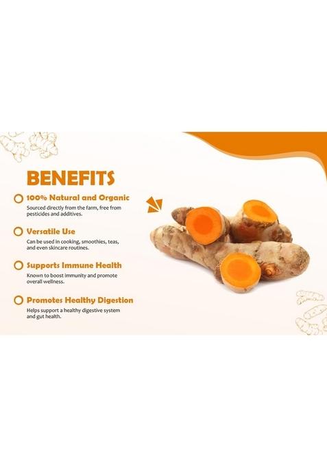 PARSHUTARA Fresh Raw Turmeric Roots (Kacchi Haldi) 100% Chemical-Free, High Curcumin, & Handcrafted Ideal for Cooking, Herbal Teas, Skincare Traditional Ceremonies Natural Immunity Booster Ayurvedic Herb 350g with FREE chemicals Haldi Powder 50GM