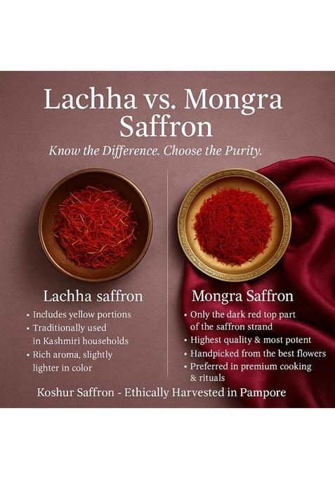 Koshur Premium Kashmiri Mongra Saffron Kesar 1 grams, Authentic, Pure, and Aromatic Spice for Culinary, Medicinal, Beauty Use, Organic Threads from Kashmir