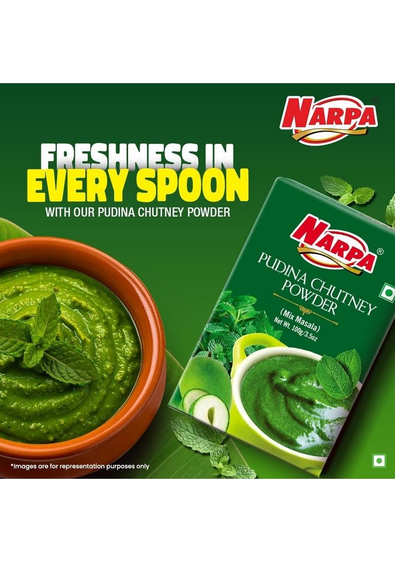 Narpa Pudina Chutney Powder 100g (1 Masala FREE! Worth 20 Randomly Picked from 26 varieties) | Fresh Mint No Preservatives, 100% Natural Ingredients Perfect for Snacks, Dips & Sandwiches