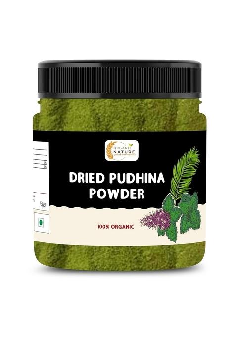ORGANIC NATURE Pudina Powder Mentha Mint 200 Gram (Jar Pack)