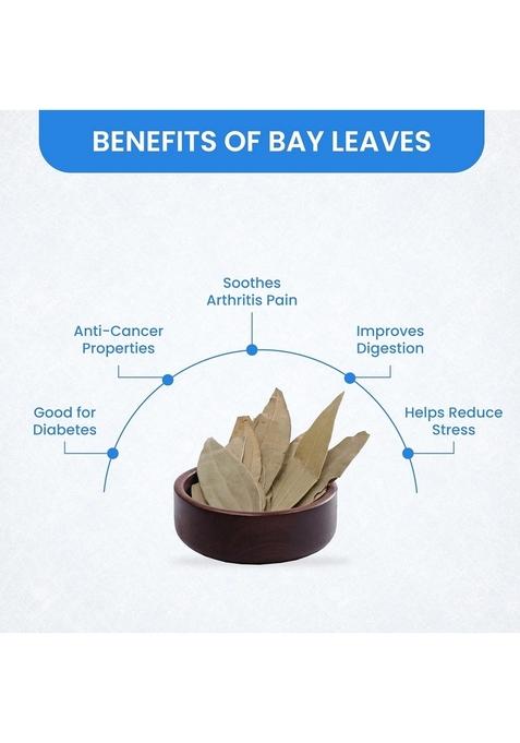 THAKAR Natural Bay Leaves25g | Organic Tejpan Patta Leaf Dry Leaves/Organic Indian Whole Spices Tez Dried WholeLeaves.