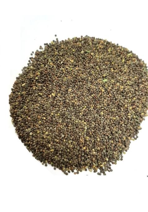 vinarghya Khuresani Ajwain Khurasani / Madkarini Indian Black Henbane Seed Ajwayin barzulbanj Omam Parsekayavani Khorasani Ajwan Khurasanee ajma Ajmo Ajvayan Ajawaana Yavaani Paarasika Ova Bangidewana Kuraasanee Yomam Ajvayanee 100g