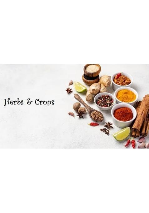 Herbs & Corps Premium Methi(Fenugreek) Whole,1Kg