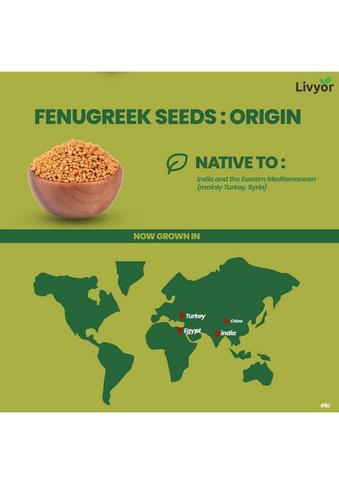 LIVYOR Natural Fenugreek/Methi Seeds