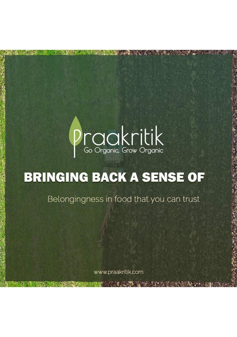 Praakritik Natural Garam Masala 100 Grams, Healthy Spices, Daily Use Masala, Authentic Sahi No Added Preservatives and Colours