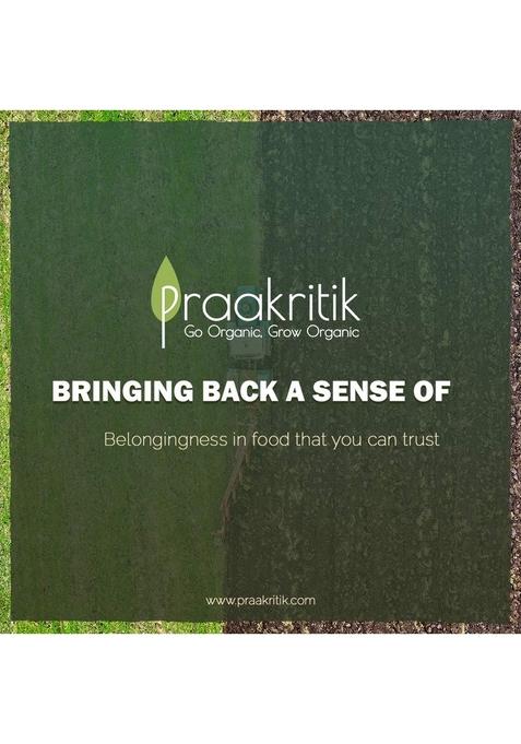 Praakritik Natural Garam Masala 100 Grams, Healthy Spices, Daily Use Masala, Authentic Sahi No Added Preservatives and Colours