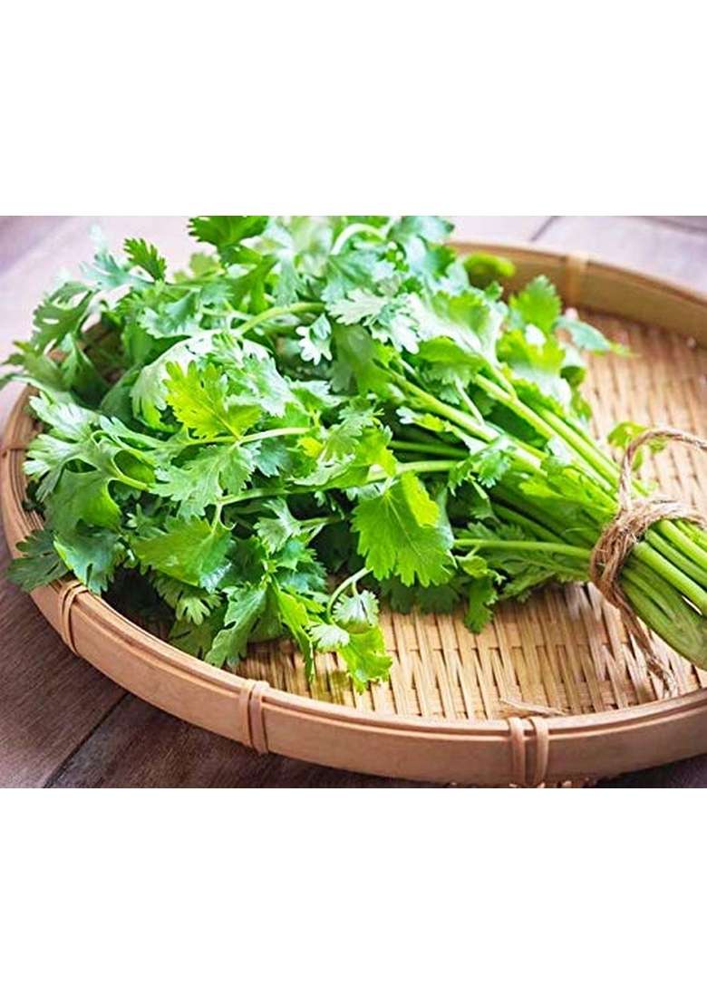 POTHIGAI NATURAL Coriander leaves Thokku 500g Pure Home Made Thokku/No Preservatives/No chemical added 100% (Pack of 1) - Indya