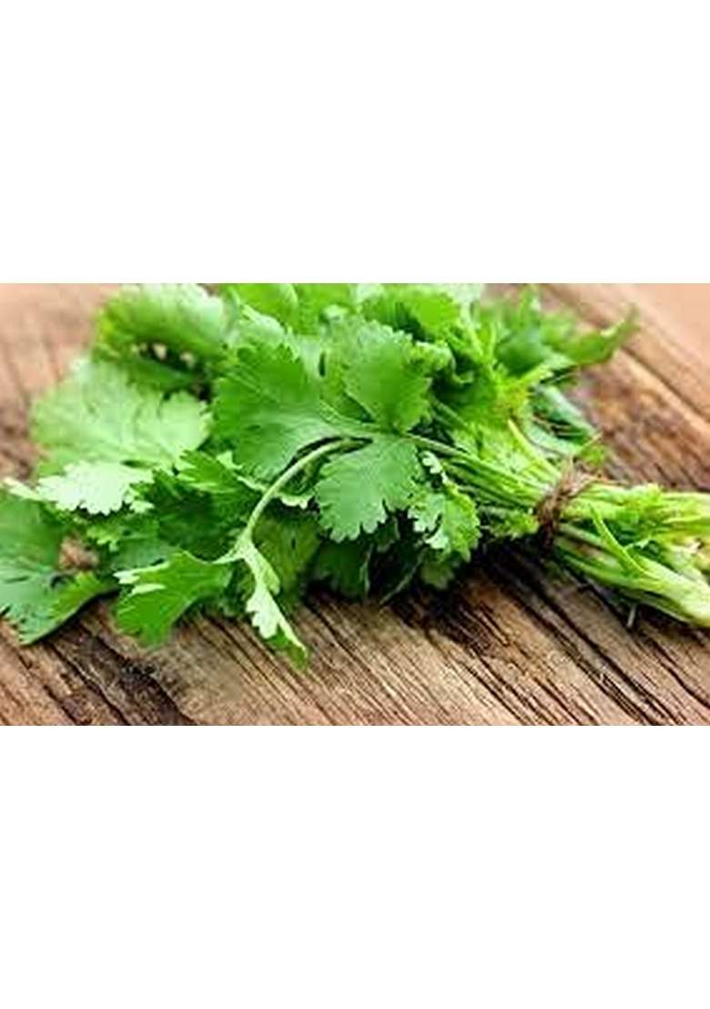POTHIGAI NATURAL Coriander leaves Thokku 500g Pure Home Made Thokku/No Preservatives/No chemical added 100% (Pack of 1) - Indya